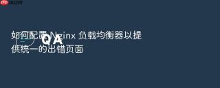 如何配置 nginx 负载均衡器以提供统一的出错页面