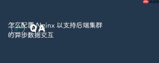 怎么配置 nginx 以支持后端集群的异步数据交互