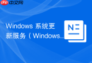 Windows 系统更新服务（Windows Update）的运维策略