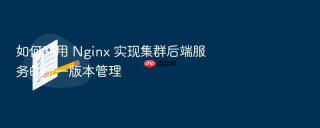 如何利用 nginx 实现集群后端服务的统一版本管理