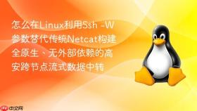 怎么在Linux利用Ssh -W参数替代传统Netcat构建全原生、无外部依赖的高安跨节点流式数据中转