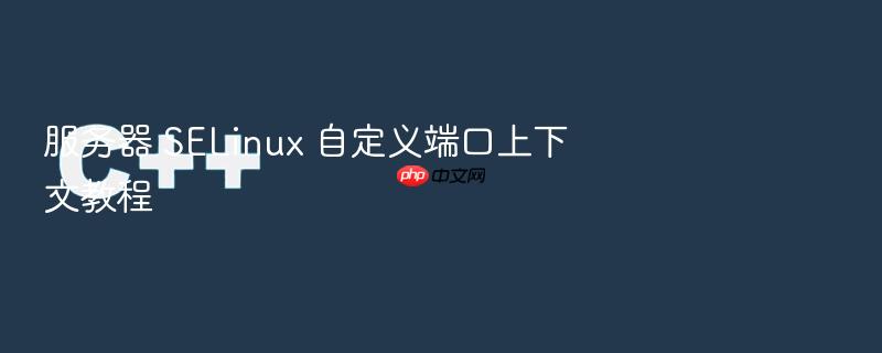 服务器 selinux 自定义端口上下文教程