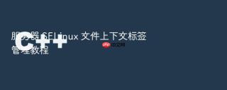 服务器 selinux 文件上下文标签管理教程