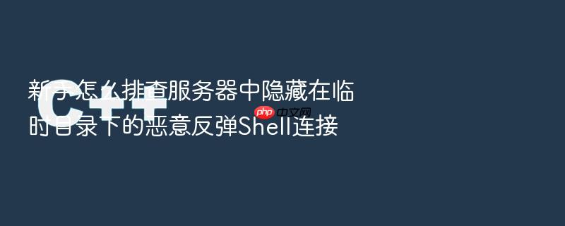 新手怎么排查服务器中隐藏在临时目录下的恶意反弹shell连接