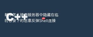 新手怎么排查服务器中隐藏在临时目录下的恶意反弹shell连接