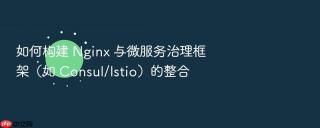 如何构建 nginx 与微服务治理框架(如 consul/istio)的整合