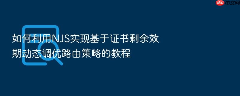 如何利用njs实现基于证书剩余效期动态调优路由策略的教程