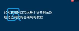 如何利用njs实现基于证书剩余效期动态调优路由策略的教程
