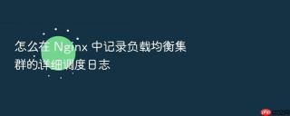 怎么在 nginx 中记录负载均衡集群的详细调度日志
