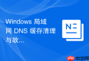 Windows 局域网 DNS 缓存清理与故障排查实战