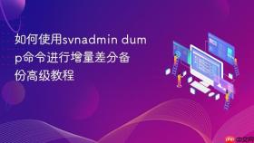 如何使用svnadmin dump命令进行增量差分备份高级教程