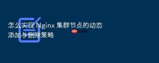 怎么实现 nginx 集群节点的动态添加与删除策略