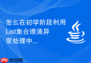 怎么在初学阶段利用List集合理清异常处理中执行的脉络