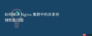 如何解决 nginx 集群中的共享存储性能问题