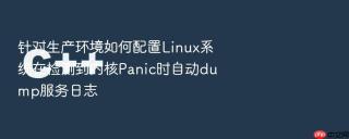 针对生产环境如何配置linux系统在检测到内核panic时自动dump服务日志