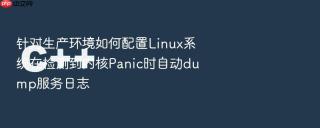 针对生产环境如何配置Linux系统在检测到内核Panic时自动dump服务日志