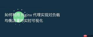如何利用 Nginx 代理实现对负载均衡流量的实时可视化