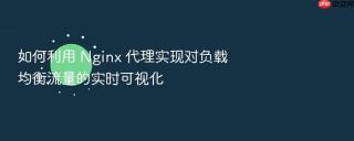 如何利用 nginx 代理实现对负载均衡流量的实时可视化