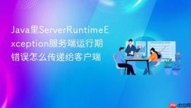 Java里ServerRuntimeException服务端运行期错误怎么传递给客户端