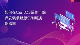 如何在centos系统下编译安装最新版svn服务端指南