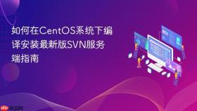 如何在CentOS系统下编译安装最新版SVN服务端指南