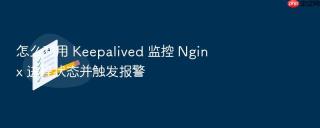 怎么利用 keepalived 监控 nginx 进程状态并触发报警
