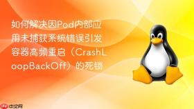 如何解决因pod内部应用未捕获系统错误引发容器高频重启（crashloopbackoff）的死锁
