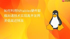 如何利用Nftables硬件卸载加速技术实现高并发网关低延迟转发