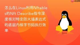 怎么在Linux利用Nftables的Nft Describe指令深度核对特定防火墙表达式的底层内核字节码执行效率