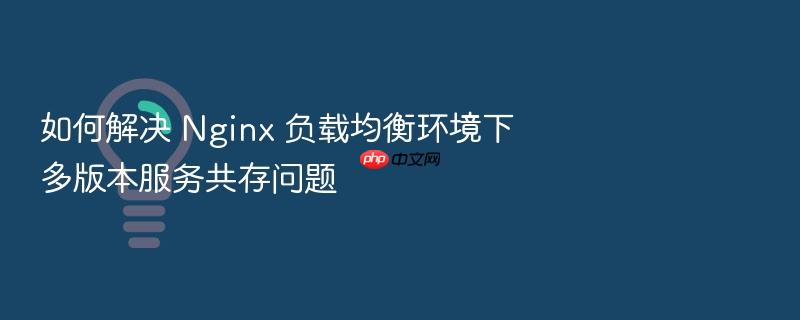 如何解决 nginx 负载均衡环境下多版本服务共存问题