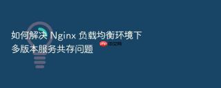 如何解决 nginx 负载均衡环境下多版本服务共存问题