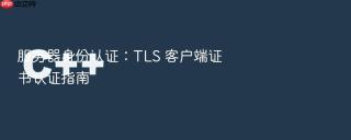 服务器身份认证:tls 客户端证书认证指南