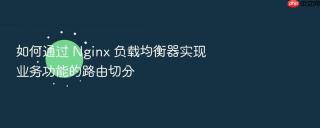 如何通过 Nginx 负载均衡器实现业务功能的路由切分