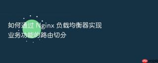 如何通过 nginx 负载均衡器实现业务功能的路由切分