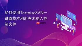 如何使用tortoisesvn一键查找本地所有未纳入控制文件
