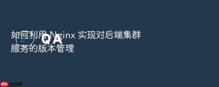 如何利用 Nginx 实现对后端集群服务的版本管理