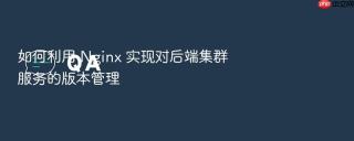 如何利用 nginx 实现对后端集群服务的版本管理