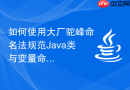 如何使用大厂驼峰命名法规范Java类与变量命名
