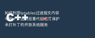 如何利用Iptables过滤报文内容中的十六进制恶意代码载荷保护未打补丁的开放系统服务