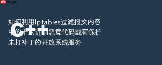 如何利用iptables过滤报文内容中的十六进制恶意代码载荷保护未打补丁的开放系统服务