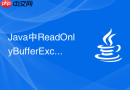 Java中ReadOnlyBufferException只读缓冲区拒绝写入操作