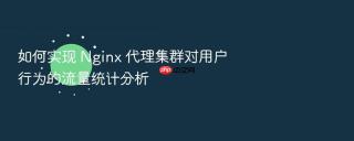 如何实现 Nginx 代理集群对用户行为的流量统计分析