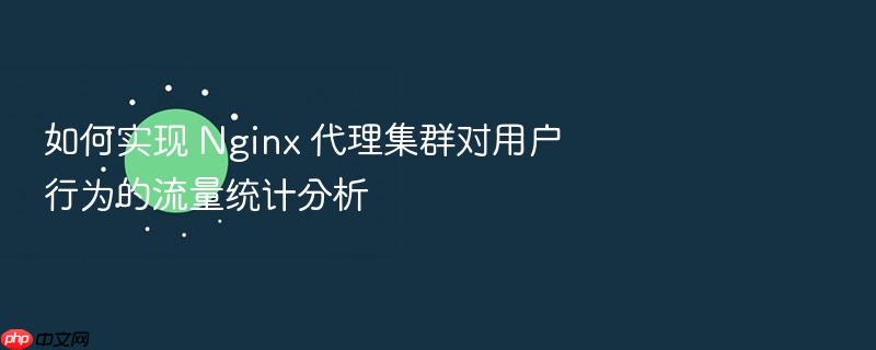 如何实现 nginx 代理集群对用户行为的流量统计分析