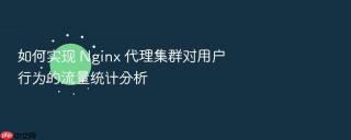 如何实现 nginx 代理集群对用户行为的流量统计分析