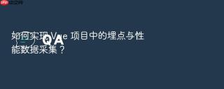 如何实现 vue 项目中的埋点与性能数据采集?