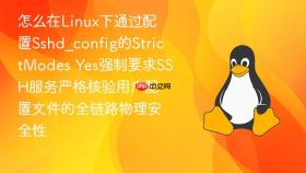 怎么在linux下通过配置sshd_config的strictmodes yes强制要求ssh服务严格核验用户配置文件的全链路物理安全性