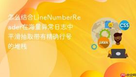 怎么结合LineNumberReader在海量异常日志中平滑抽取带有精确行号的堆栈
