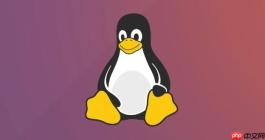 Linux 权限管理常见陷阱：新手应避免的赋予 777 权限
