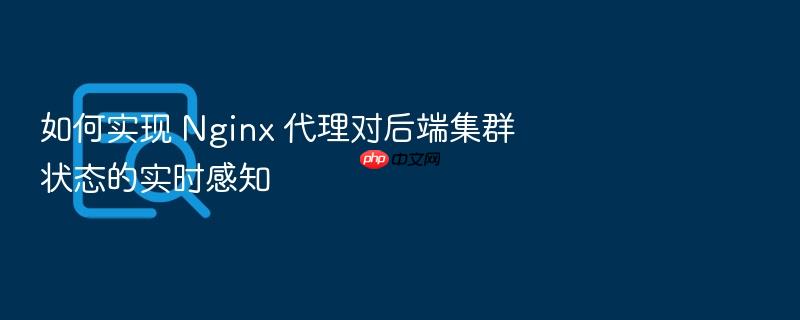 如何实现 nginx 代理对后端集群状态的实时感知