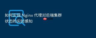 如何实现 nginx 代理对后端集群状态的实时感知